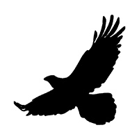 Bird stencils Bird stencils