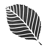 Leaf stencils Leaf stencils